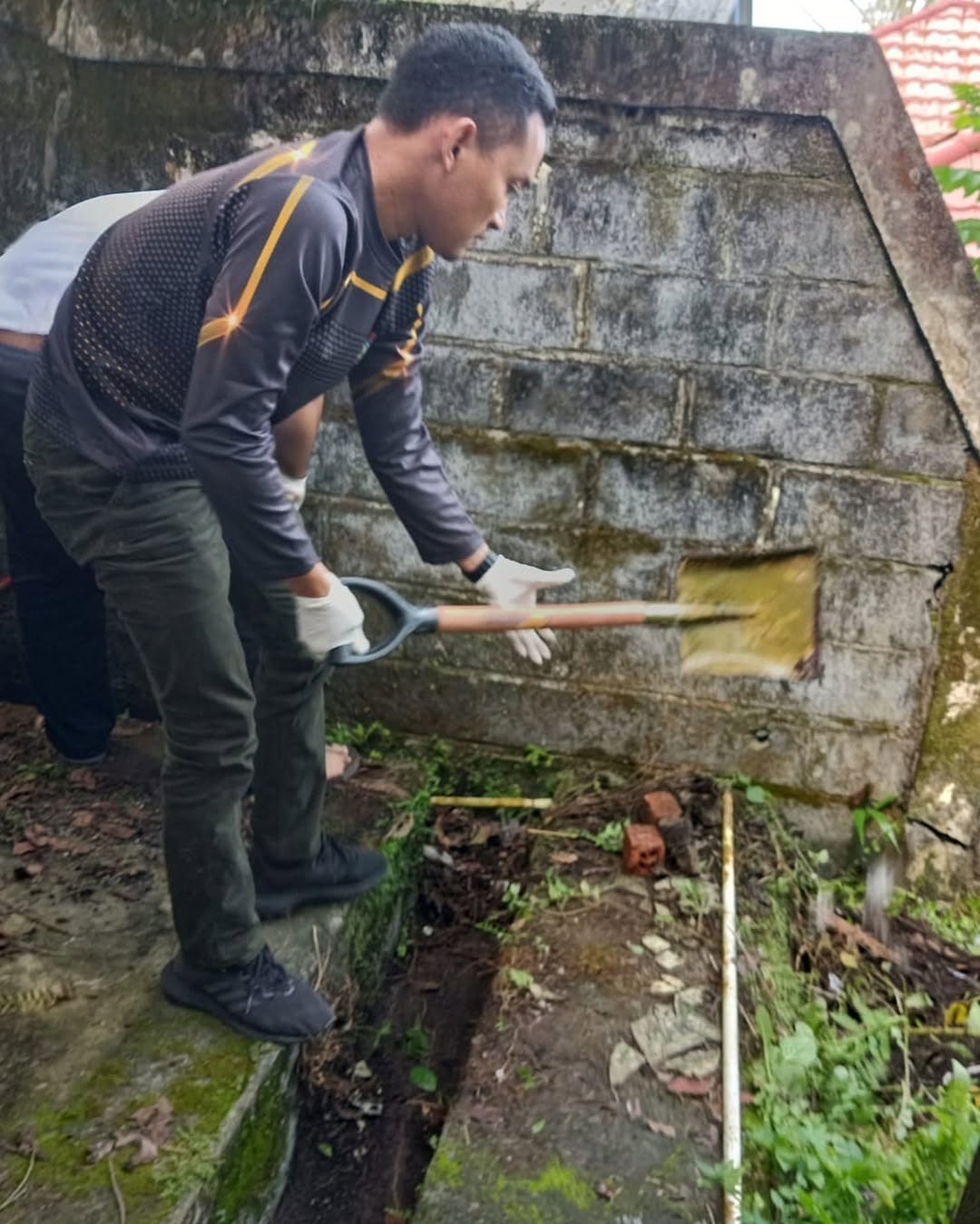 7aadf3ab-6fd0-43bc-957b-44727d7d96c5