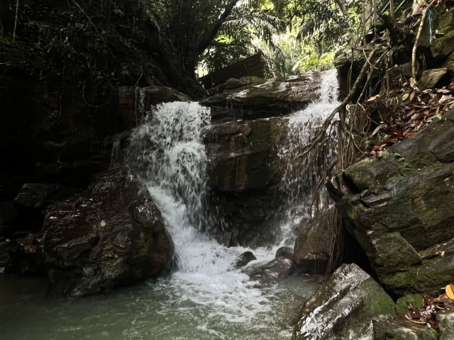 images